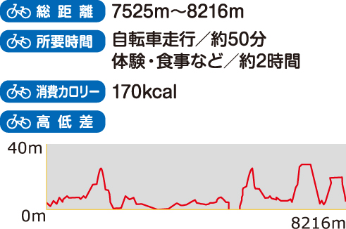 総距離、所要時間、消費カロリー、高低差