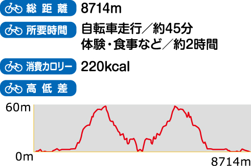 総距離、所要時間、消費カロリー、高低差