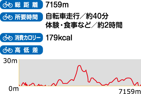 総距離、所要時間、消費カロリー、高低差