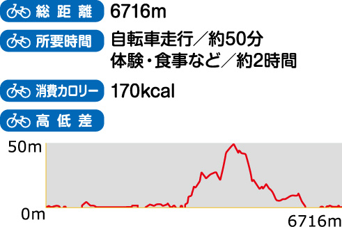 総距離、所要時間、消費カロリー、高低差